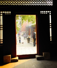light_TOM4957.jpg