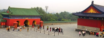 1crowed_TOM5081.jpg