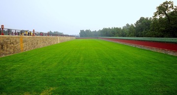 1green_TOM5083.jpg