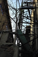 ladder_TOM0640.jpg