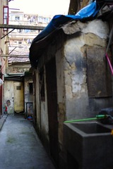 long_TOM0641.jpg
