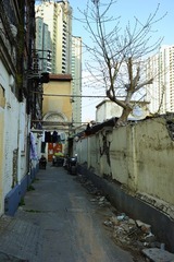 long_TOM0646.jpg