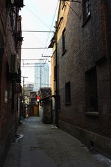 long_TOM0650.jpg