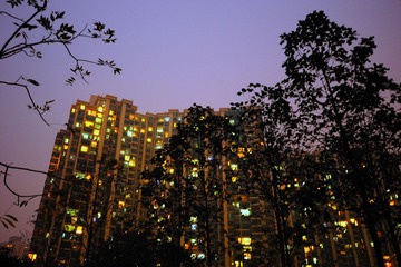 building_TOM6545.jpg