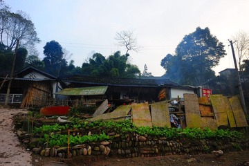 乡下hse_TOM6880.jpg