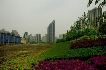 景色