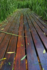 路