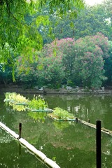 池