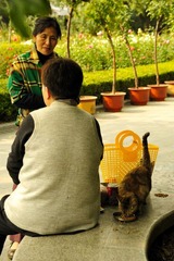 猫&主人