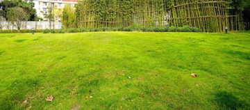 green land