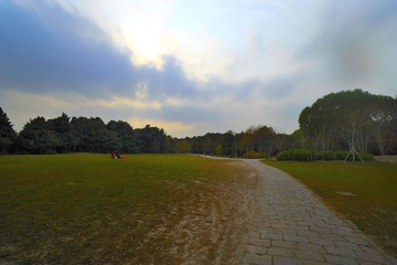 蓝天绿地