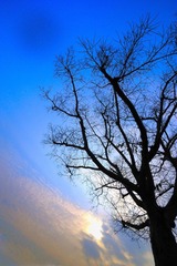 天空