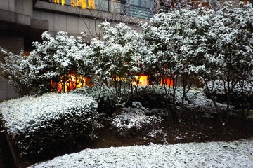 上海雪景