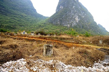 墓地