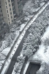 上海下雪了