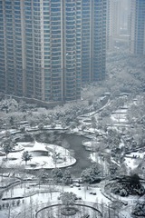 上海下雪了
