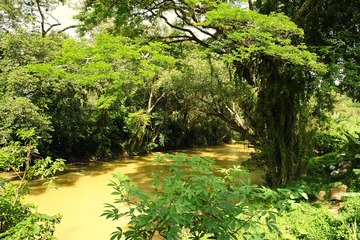 河
