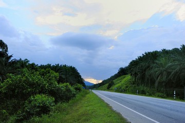 路