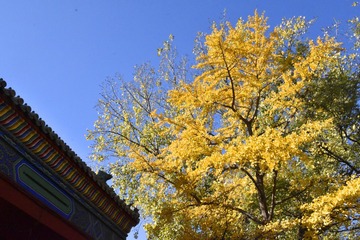 蓝天白云