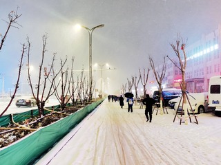 家庭
