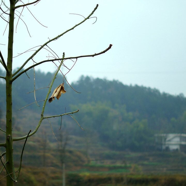 冬了<br />
