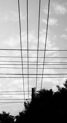 DSC00526.jpg