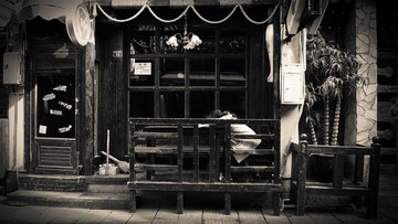DSC01083-2.jpg
