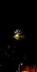 DSC01015.jpg
