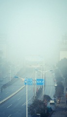 DSC08704.jpg