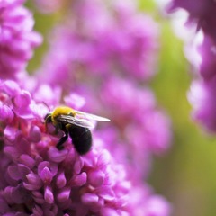 DSC02708.jpg