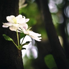 DSC02755-2.jpg