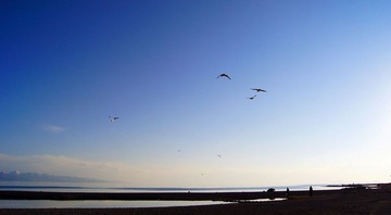 DSC00933A.jpg
