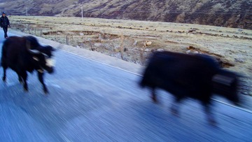 DSC07130A.jpg