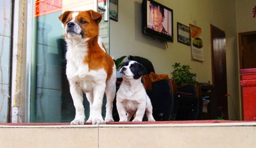 DSC08745A.jpg