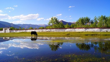 DSC09332A.jpg