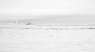 DSC05882AC.jpg