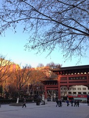 20160125 南京夫子庙