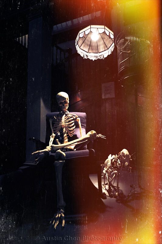 04/365 Countdown to extinction<br />
04/365 Countdown to extinction @度智摄影