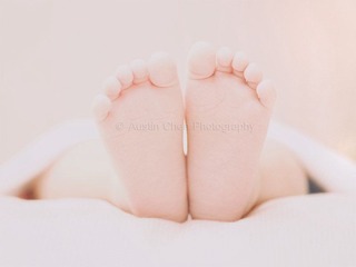 AJA_2620_01_lr.jpg