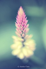 AJA_9366_01_LR.jpg