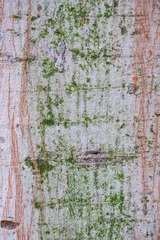 DSCF0115.jpg