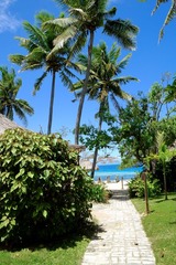 Fiji 1200 DSCF0173