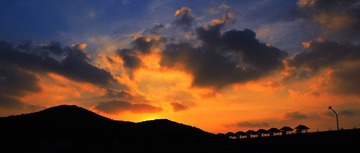 IMG_4034.jpg