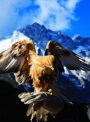 IMG_6514.jpg
