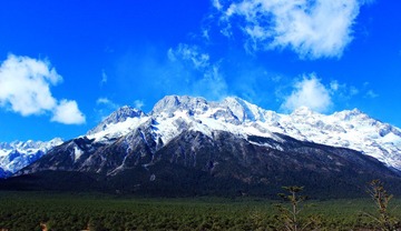 IMG_6594.jpg
