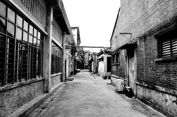 DSC_2513.0.jpg