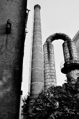 DSC_2515.0.jpg