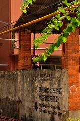 DSC_2470.0.jpg