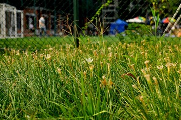 DSC_2486.0.jpg