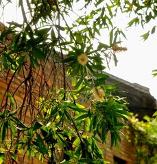 DSC_2475.0.jpg